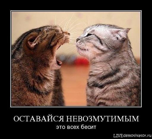 =^ᴥ^= Любители котятков - Моя коллекция :)